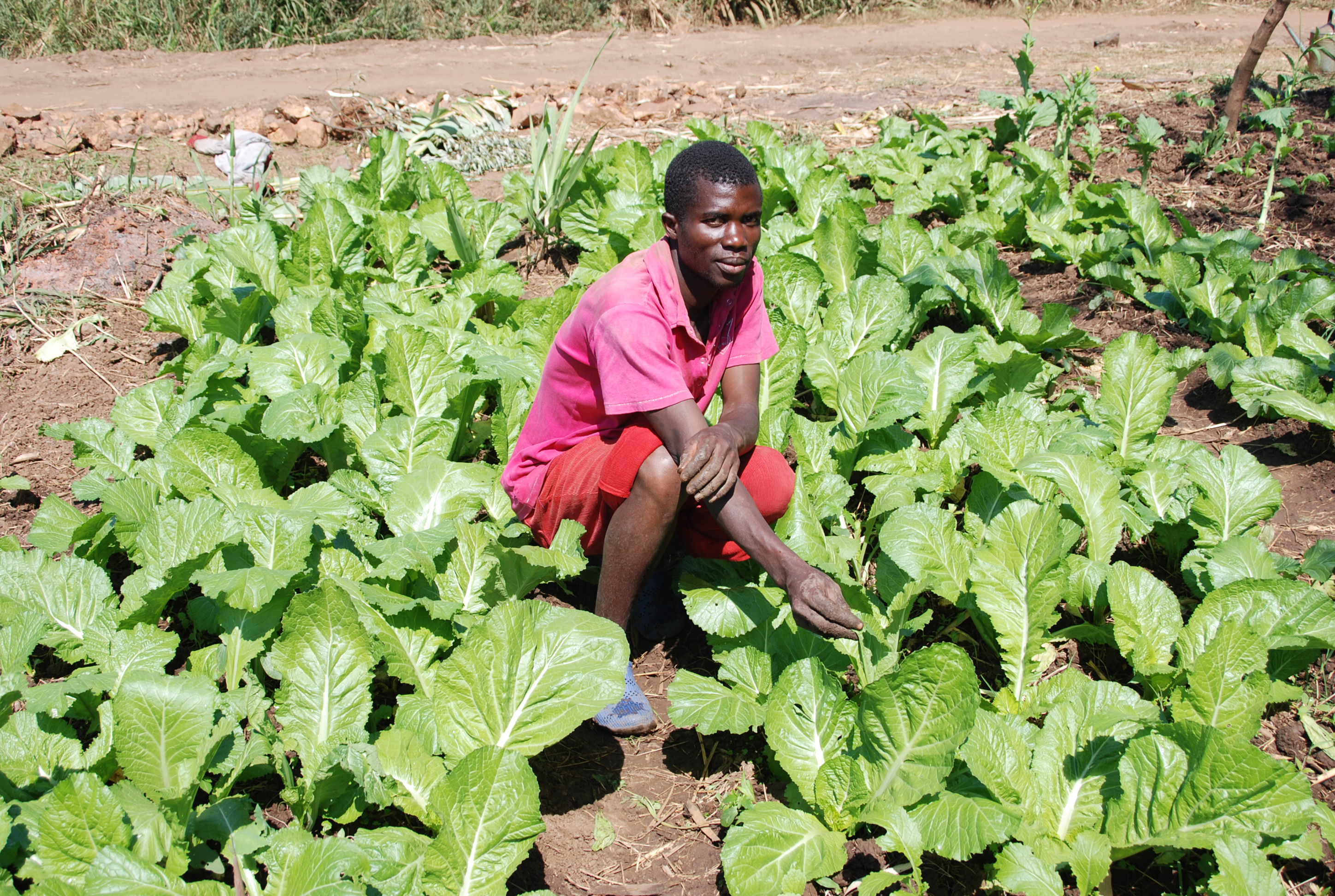 Rhema Institute for Development(RHID)